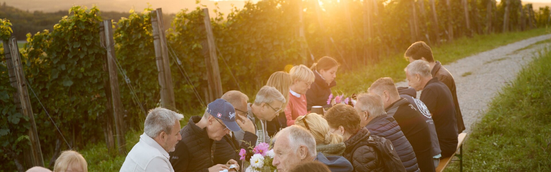 Sonnenuntergang im Rebberg