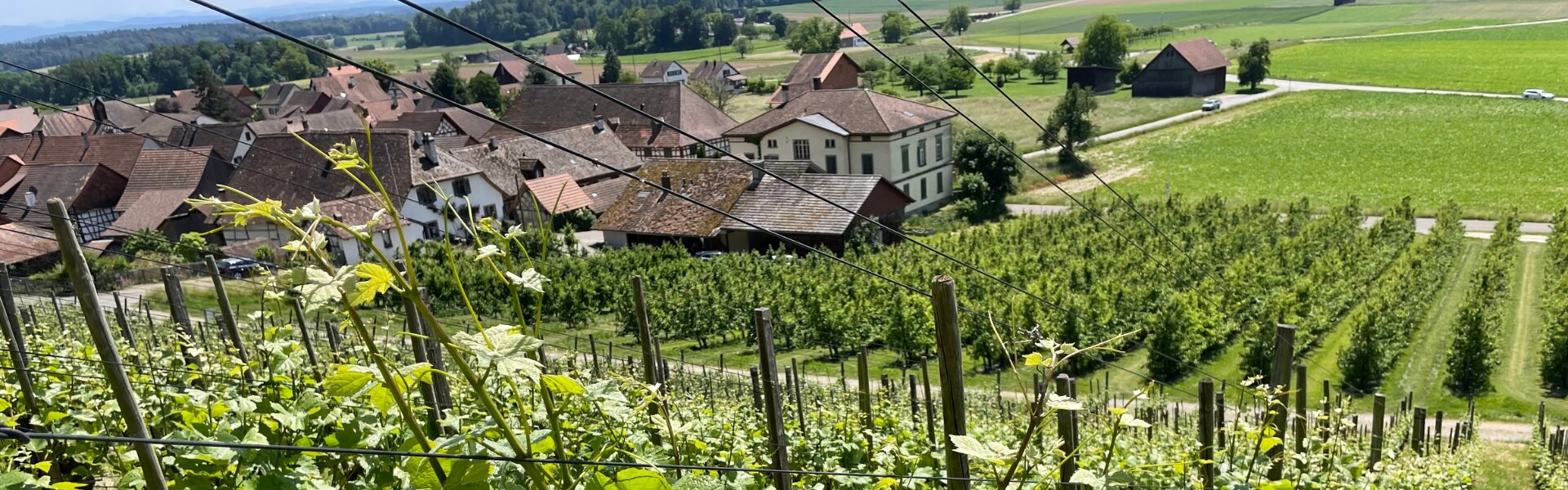 WeinGut Zuber